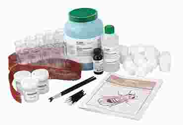 Genetics of Organisms—Classic Lab Kits for AP® Biology