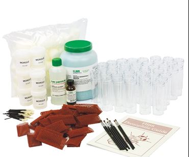 Genetics of Organisms—Classic Lab Kits for AP® Biology
