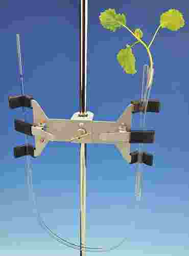 Transpiration Classic Lab Kits for AP® Biology
