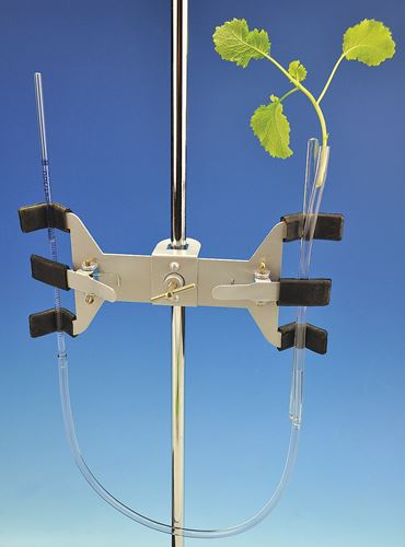 Transpiration Classic Lab Kits for AP® Biology