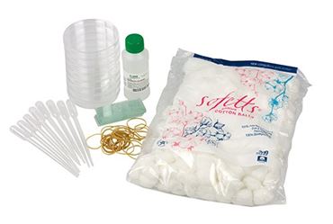 Circulatory System Physiology Classic Lab Kits for AP® Biology