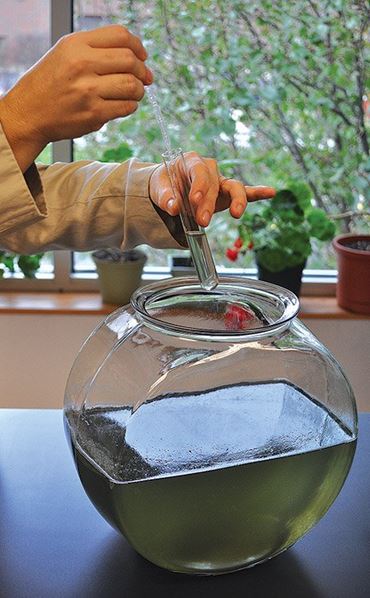 Dissolved Oxygen Classic Lab Kit for AP® Biology