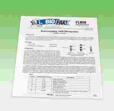 Karyotyping with Ideograms - Genetics Activity Kit for Biology and Life Science