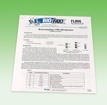 Karyotyping with Ideograms - Genetics Activity Kit for Biology and Life Science