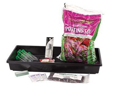 Stomata and Transpiration Rates Botany Laboratory Kit for Biology and Life Science