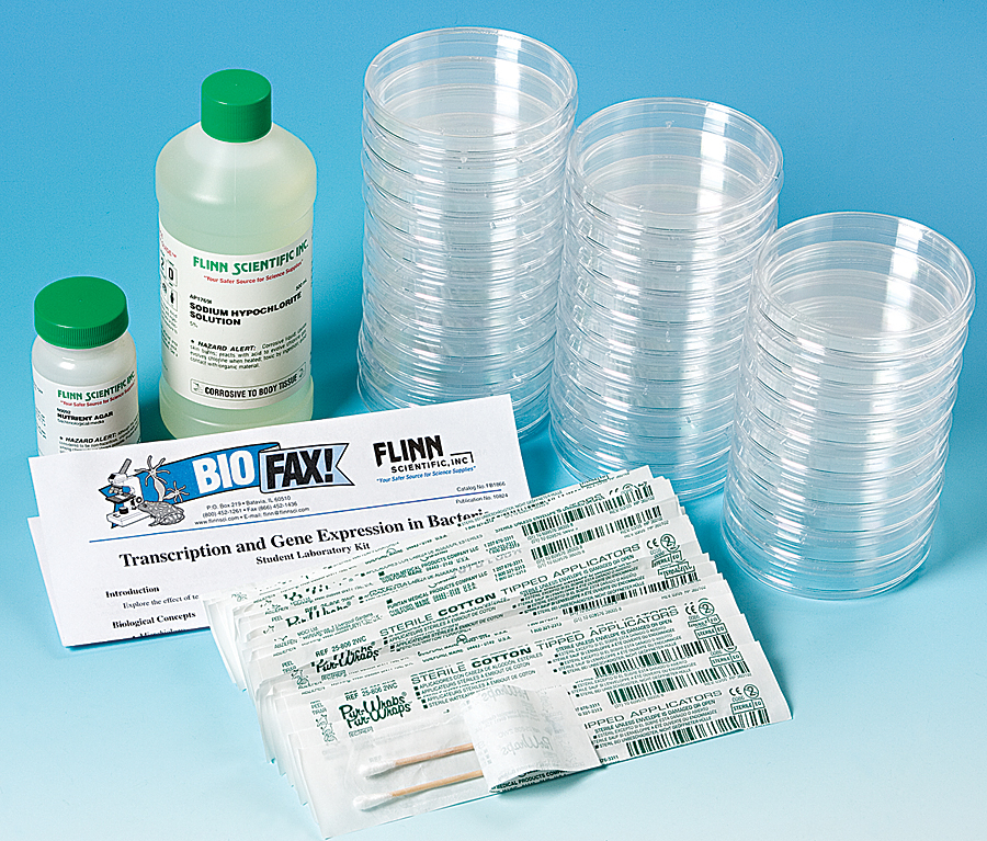 Transcription and Gene Expression in Bacteria—Student Laboratory Kit