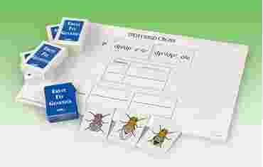 Fruit Fly (Drosophila) Genetics Simulation Kit for Biology and Life Science