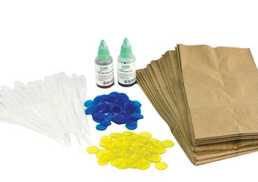 Eye Color and Polygenic Inheritance Laboratory Kit for Biology and Life Science