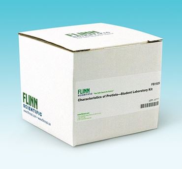 paramecia, paramecium, protista, protists, volvox