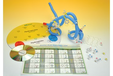 Amino Acid and Protein Folding Starter Kit for Biology Lab