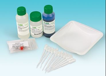 Roles of Restriction Enzymes - Biotechnology Laboratory Kit