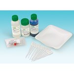 Roles of Restriction Enzymes - Biotechnology Laboratory Kit