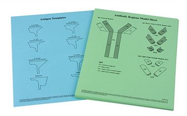 Antibody Function and Epidemiology Laboratory Kit for Biology and Life Science