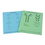 Antibody Function and Epidemiology Laboratory Kit for Biology and Life Science