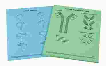 Antibody Function and Epidemiology Laboratory Kit for Biology and Life Science