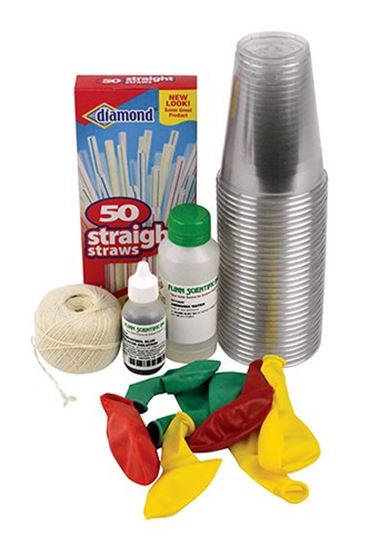 Exercise, Carbon Dioxide and Respiration Biology Laboratory Kit