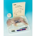Complete Pack™ Preserved Fetal Pig Dissection Set