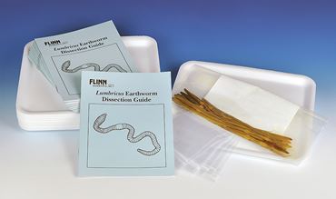 Earthworm Classroom Dissection Kit for Biology and Life Science