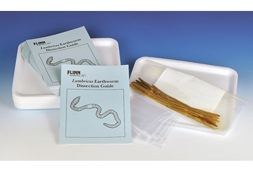 Earthworm Classroom Dissection Kit for Biology and Life Science