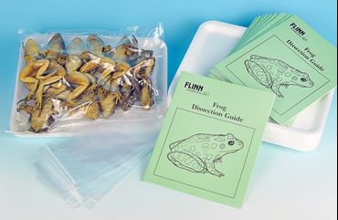 Grass Frog Complete Classroom Dissection