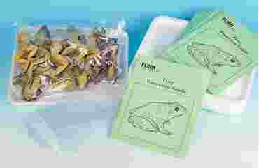 Grass Frog Classroom Dissection Kit for Biology and Life Science
