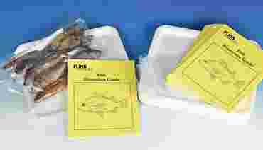 Fish Classroom Dissection Kit for Biology and Life Science