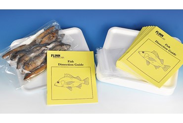 Fish Complete Classroom Dissection