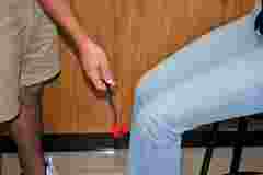 Human Reflex Laboratory Kit for Anatomy and Physiology Studies