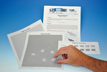 natural selection, adaptation, natural color variations