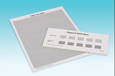 environmental conditions, human pollution