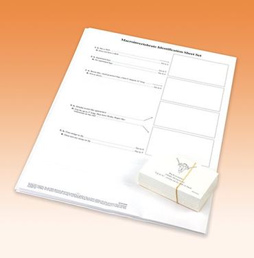Macroinverterbrate Identification Activity Kit for Biology and Life Science
