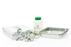 Gingerbread Anatomy Laboratory Kit