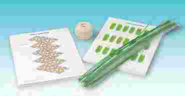 Constructing Model Viruses Activity Kit for Biology and Life Science