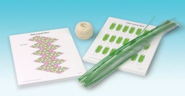 Constructing Model Viruses Activity Kit for Biology and Life Science