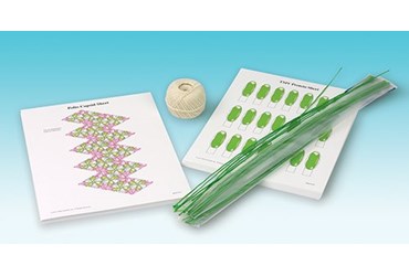 Constructing Model Viruses Activity Kit for Biology and Life Science