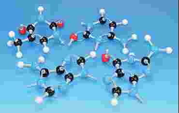 Nucleotide Model Kit for Biology and Life Science