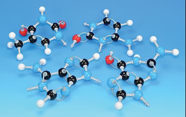 Nucleotide Model Kit for Biology and Life Science