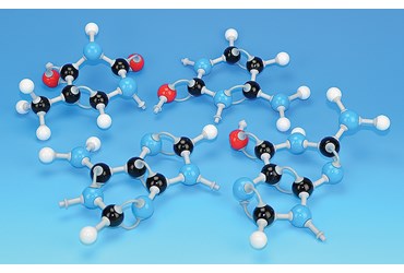 Nucleotide Model Kit for Biology and Life Science