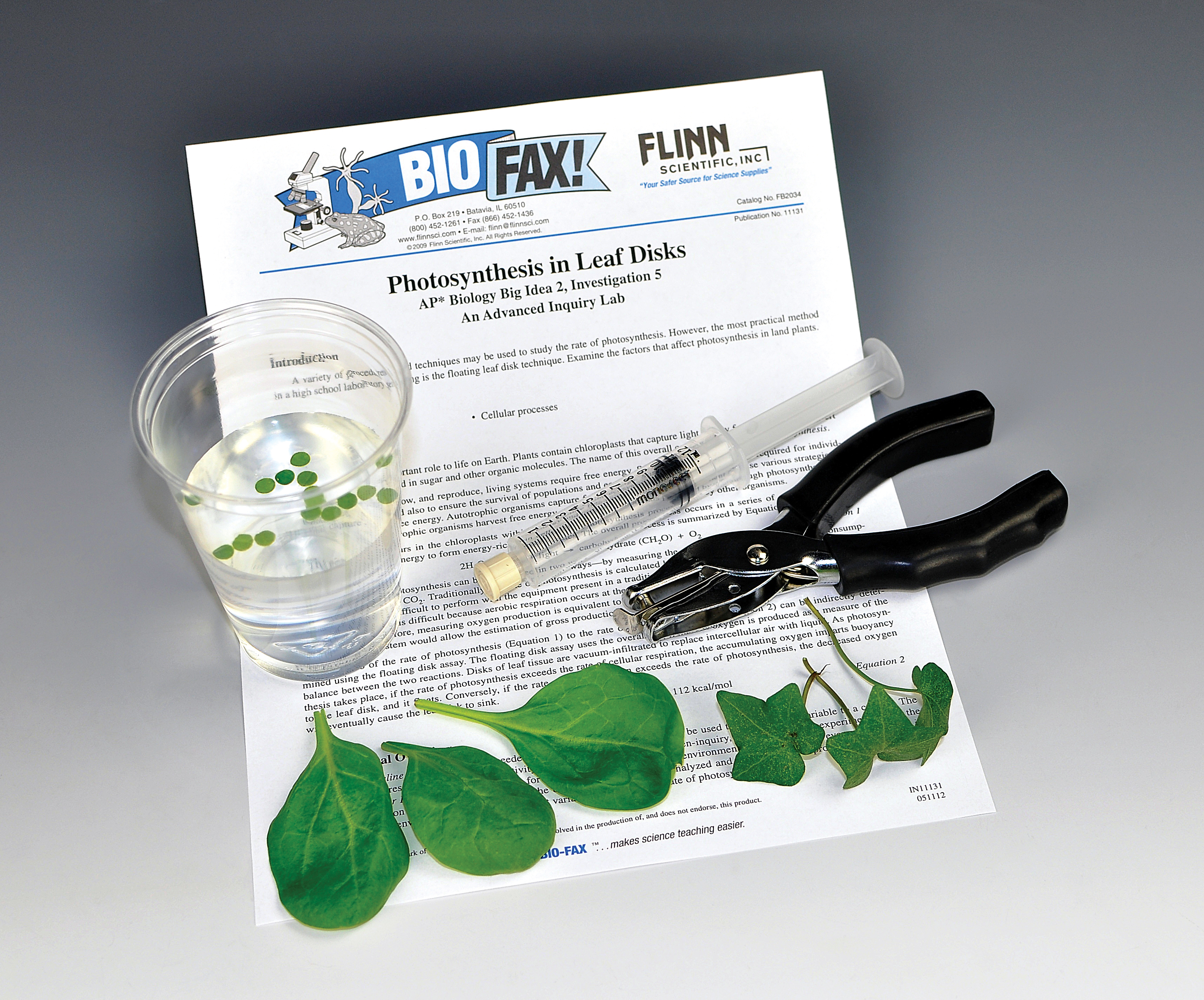 Photosynthesis in Leaf Disks—Advanced Inquiry Laboratory Kit Flinn