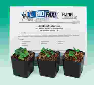 Big Ideas for AP* Biology 4-Kit Bundle