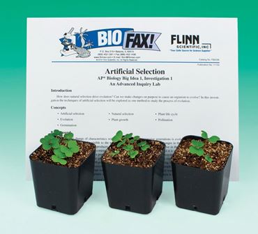 Big Ideas for AP* Biology 4-Kit Bundle