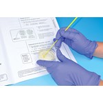 Bacterial Transformation Advanced Inquiry Lab Kit for AP* Biology