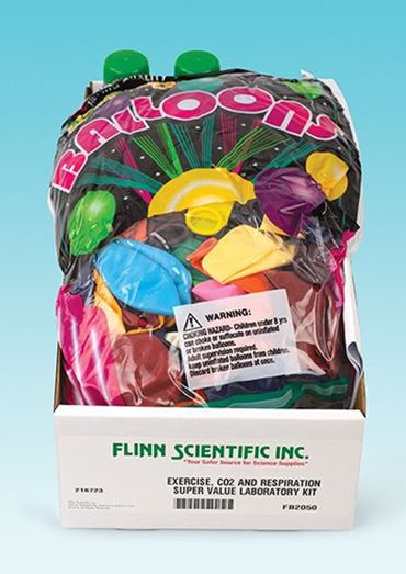 breathing, complex breath mechanism, breath, exhalation, exhaling, breathing efficiency