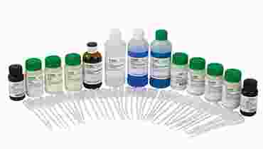 Digestive Enzymes at Work Biochemistry and Physiology Laboratory Kit