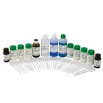 Digestive Enzymes at Work Biochemistry and Physiology Laboratory Kit