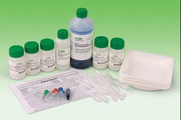 DNA, DNA analysis, enzyme restricted DNA