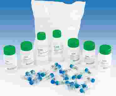 Why Do People Look Different? Biotechnology Laboratory Kit