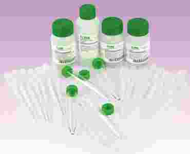 Lead Contamination in Water Laboratory Kit for Environmental Science