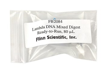 Ready to Run DNA Lambda EcoRI Digest