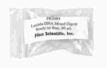 Ready to Run DNA Lambda EcoRI Digest
